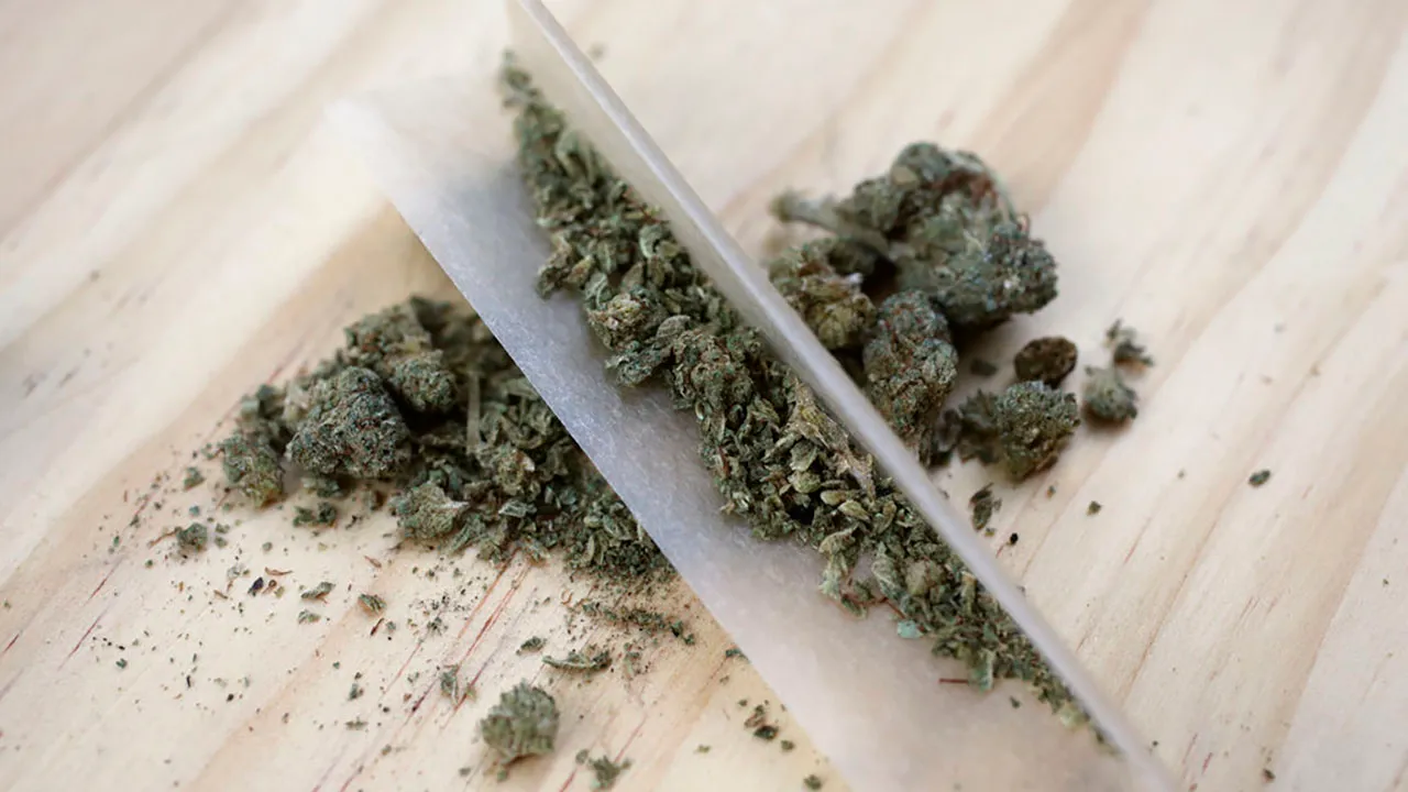 Legale Genetiken sichern – Cannabis Samen bestellen aus seriöser Quelle